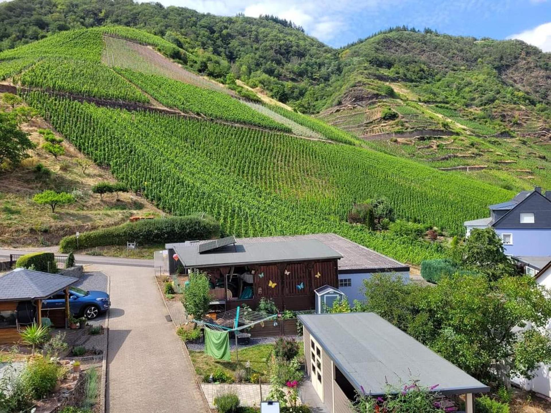 Ferienwohnung Haus am Calmont Bremm Exterior foto